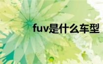 fuv是什么车型（fuv是什么车）