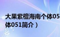 大果紫檀海南个体051（关于大果紫檀海南个体051简介）