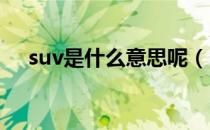 suv是什么意思呢（SUV是什么意思呢）