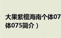 大果紫檀海南个体075（关于大果紫檀海南个体075简介）