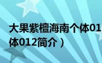 大果紫檀海南个体012（关于大果紫檀海南个体012简介）