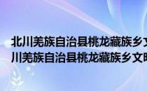 北川羌族自治县桃龙藏族乡文明实践志愿服务大队（关于北川羌族自治县桃龙藏族乡文明实践志愿服务大队简介）