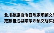 北川羌族自治县陈家坝镇文明实践志愿服务大队（关于北川羌族自治县陈家坝镇文明实践志愿服务大队简介）