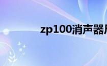 zp100消声器尺寸（zp100）