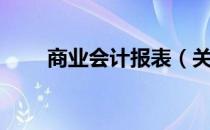 商业会计报表（关于商业会计报表）