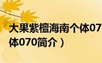 大果紫檀海南个体070（关于大果紫檀海南个体070简介）