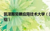 凯泽斯劳滕应用技术大学（关于凯泽斯劳滕应用技术大学介绍）