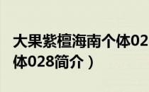 大果紫檀海南个体028（关于大果紫檀海南个体028简介）