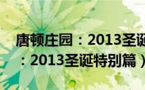 唐顿庄园：2013圣诞特别篇（关于唐顿庄园：2013圣诞特别篇）