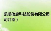 凯明信息科技股份有限公司（关于凯明信息科技股份有限公司介绍）