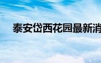 泰安岱西花园最新消息（泰安岱西花园）