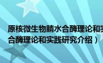 原核微生物腈水合酶理论和实践研究（关于原核微生物腈水合酶理论和实践研究介绍）