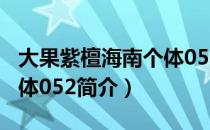 大果紫檀海南个体052（关于大果紫檀海南个体052简介）