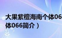 大果紫檀海南个体066（关于大果紫檀海南个体066简介）