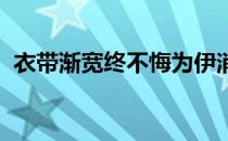 衣带渐宽终不悔为伊消得人憔悴是谁的词句