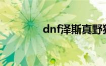 dnf泽斯真野猪（dnf泽斯）