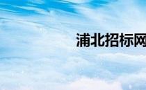 浦北招标网（浦集线）