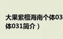 大果紫檀海南个体031（关于大果紫檀海南个体031简介）