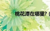 桃花潭在哪里?（桃花潭在哪里）