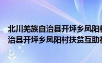 北川羌族自治县开坪乡凤阳村扶贫互助社（关于北川羌族自治县开坪乡凤阳村扶贫互助社简介）