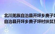 北川羌族自治县开坪乡麂子坪村扶贫互助社（关于北川羌族自治县开坪乡麂子坪村扶贫互助社简介）