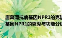 唐菖蒲抗病基因NPR1的克隆与功能分析（关于唐菖蒲抗病基因NPR1的克隆与功能分析）