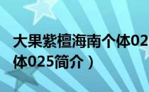 大果紫檀海南个体025（关于大果紫檀海南个体025简介）