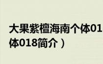 大果紫檀海南个体018（关于大果紫檀海南个体018简介）