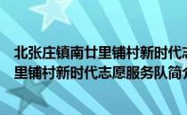 北张庄镇南廿里铺村新时代志愿服务队（关于北张庄镇南廿里铺村新时代志愿服务队简介）