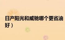 日产阳光和威驰哪个更省油（新东风日产阳光和新威驰哪个好）