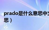 prado是什么意思中文翻译（prado是什么意思）