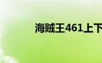 海贼王461上下（海贼王461）