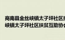 商南县金丝峡镇太子坪社区扶贫互助协会（关于商南县金丝峡镇太子坪社区扶贫互助协会）