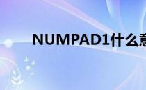 NUMPAD1什么意思（numpad1）