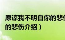 原谅我不明白你的悲伤（关于原谅我不明白你的悲伤介绍）