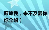 原谅我，来不及爱你（关于原谅我，来不及爱你介绍）