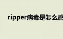 ripper病毒是怎么感染的（ripper病毒）