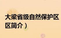 大梁省级自然保护区（关于大梁省级自然保护区简介）