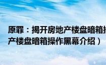 原罪：揭开房地产楼盘暗箱操作黑幕（关于原罪：揭开房地产楼盘暗箱操作黑幕介绍）