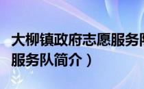 大柳镇政府志愿服务队（关于大柳镇政府志愿服务队简介）