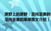 原野上的原野：至纯至美的草原散文（关于原野上的原野：至纯至美的草原散文介绍）