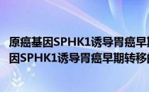 原癌基因SPHK1诱导胃癌早期转移的分子机制（关于原癌基因SPHK1诱导胃癌早期转移的分子机制介绍）