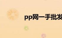 pp网一手批发官网（pp网）