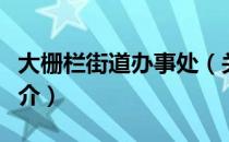 大栅栏街道办事处（关于大栅栏街道办事处简介）