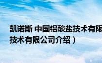 凯诺斯 中国铝酸盐技术有限公司（关于凯诺斯 中国铝酸盐技术有限公司介绍）