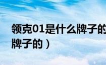 领克01是什么牌子的变速箱（领克01是什么牌子的）