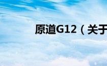 原道G12（关于原道G12介绍）