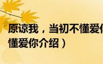 原谅我，当初不懂爱你（关于原谅我，当初不懂爱你介绍）