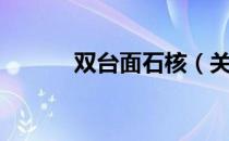 双台面石核（关于双台面石核）