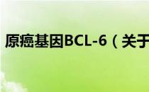 原癌基因BCL-6（关于原癌基因BCL-6介绍）